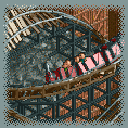 Mine Train Roller Coaster