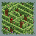 Hedge Maze